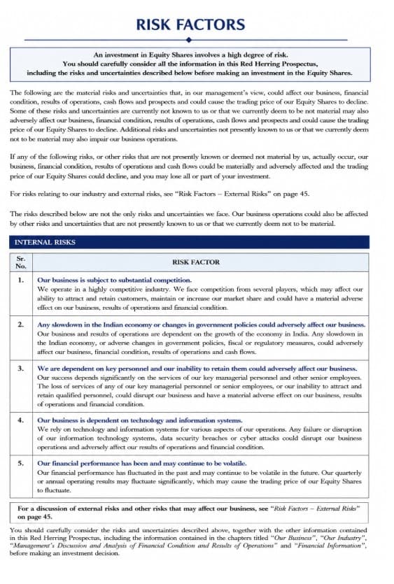 Risk Factors Format