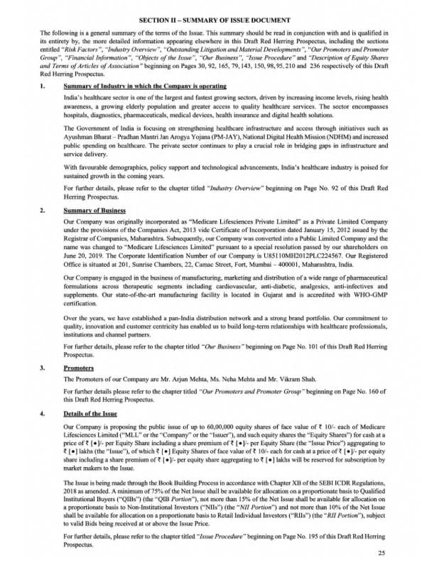 Summary of Issue Document Format