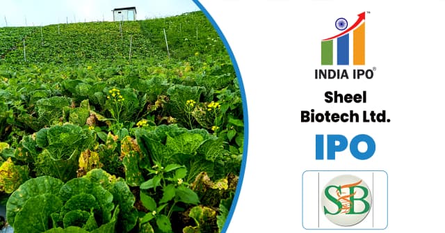 Sheel Biotech IPO