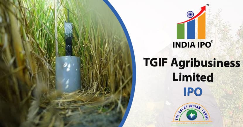 TGIF Agribusiness Limited IPO