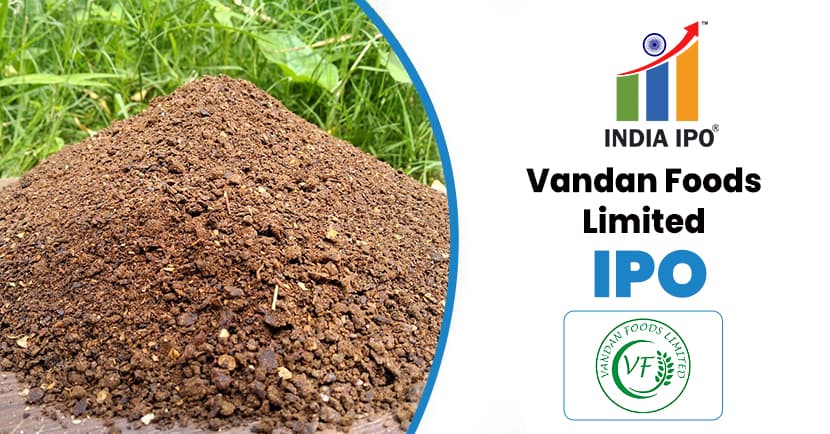 Vandan Foods Limited IPO