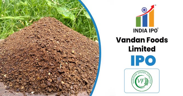 Vandan Foods Limited IPO