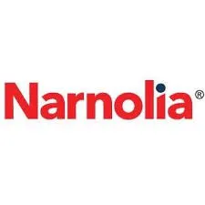 Narnolia Financial Services Limited Logo