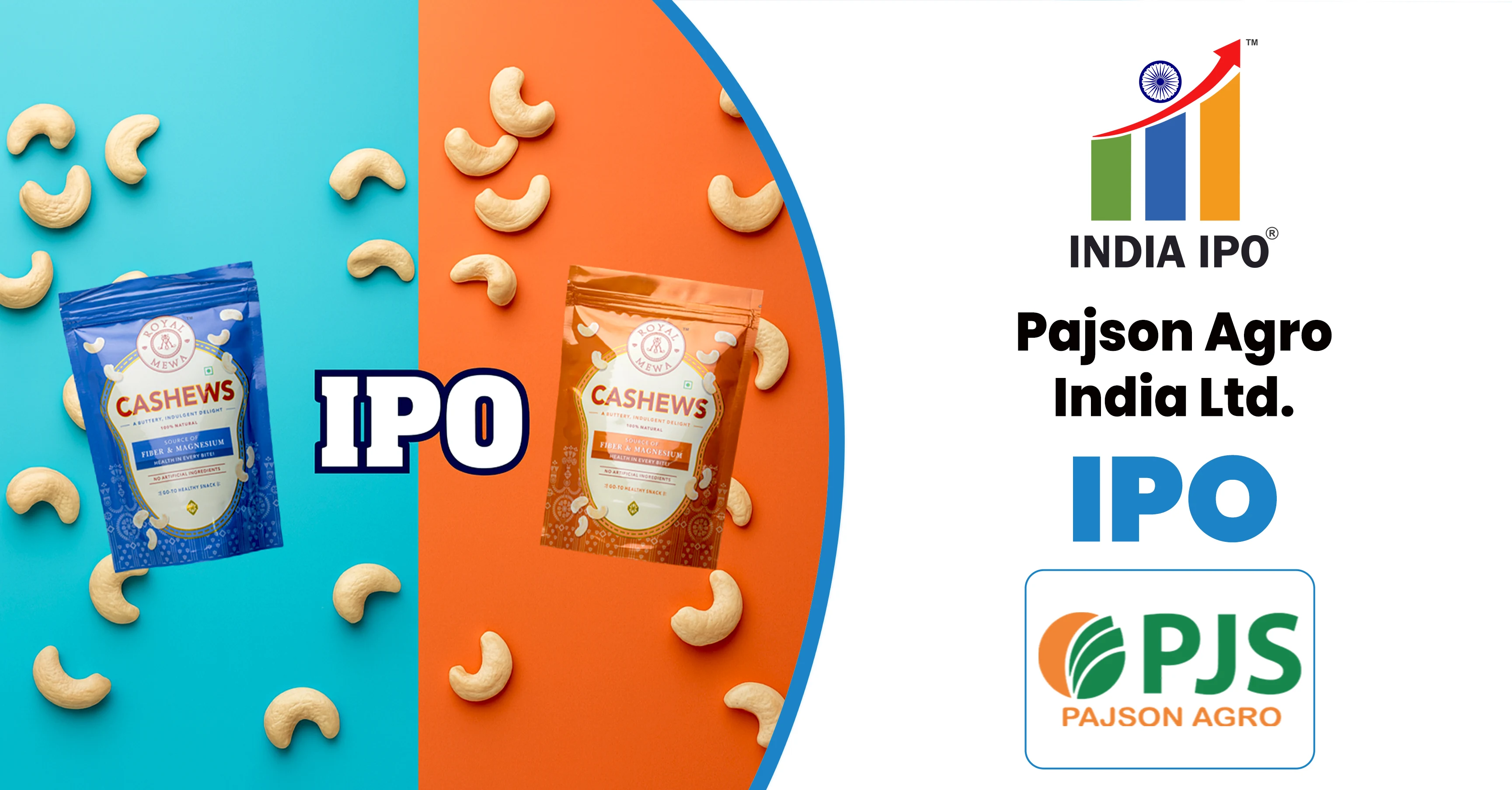 Pajson Agro India IPO