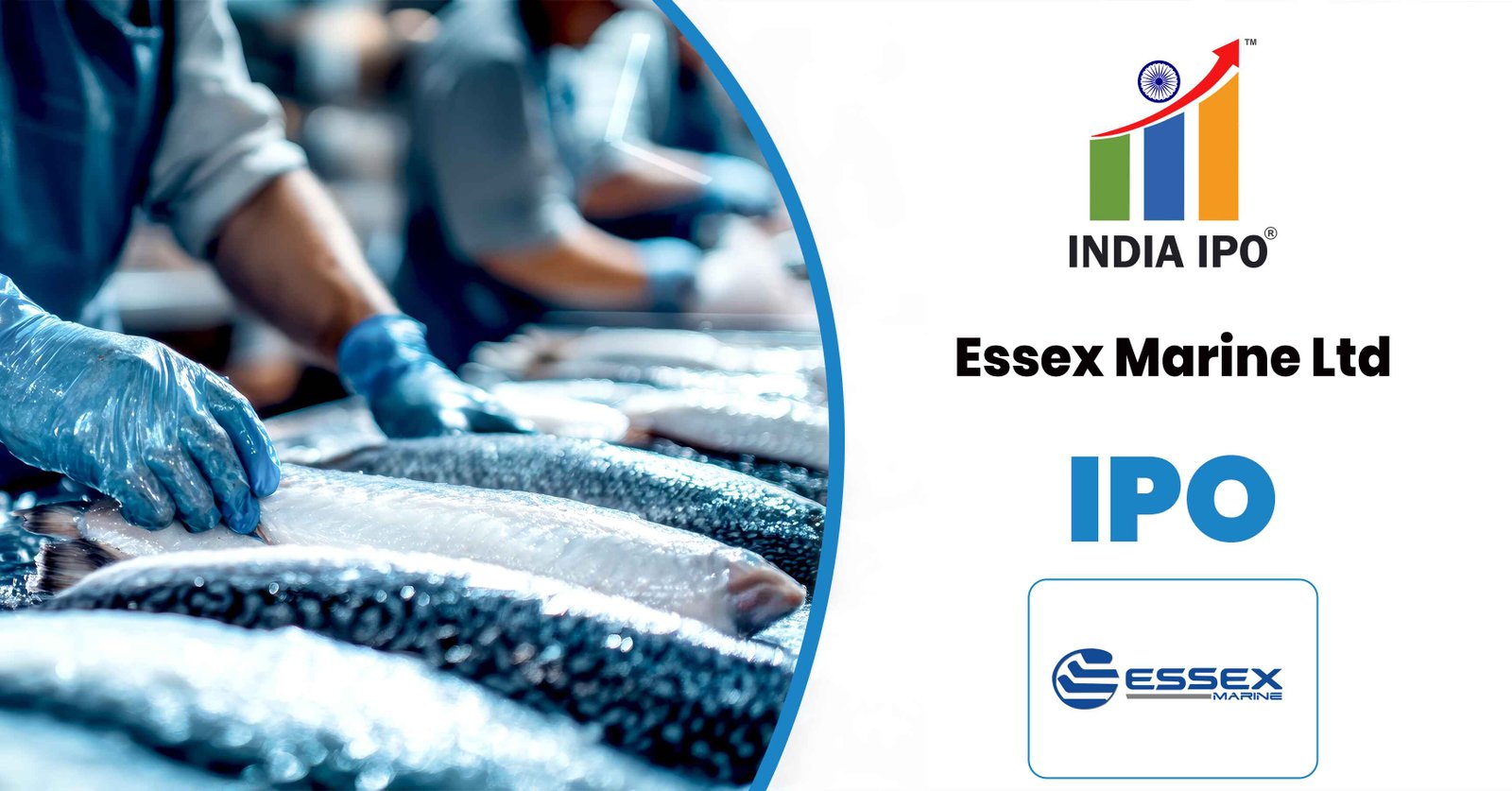Essex Marine Limited IPO