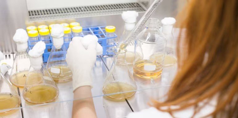 Fibe Aims for ₹1,500 Crore IPO, Eyes Billion-Dollar Valuation by 2026